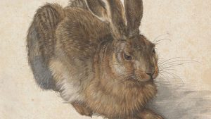 Albrecht Durer Hare